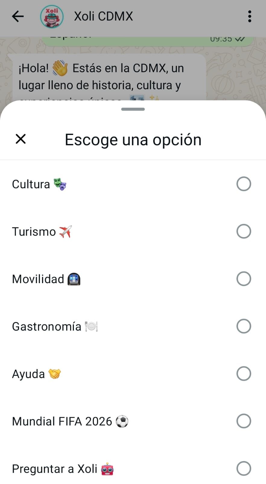Xoli chatbot Mundial México