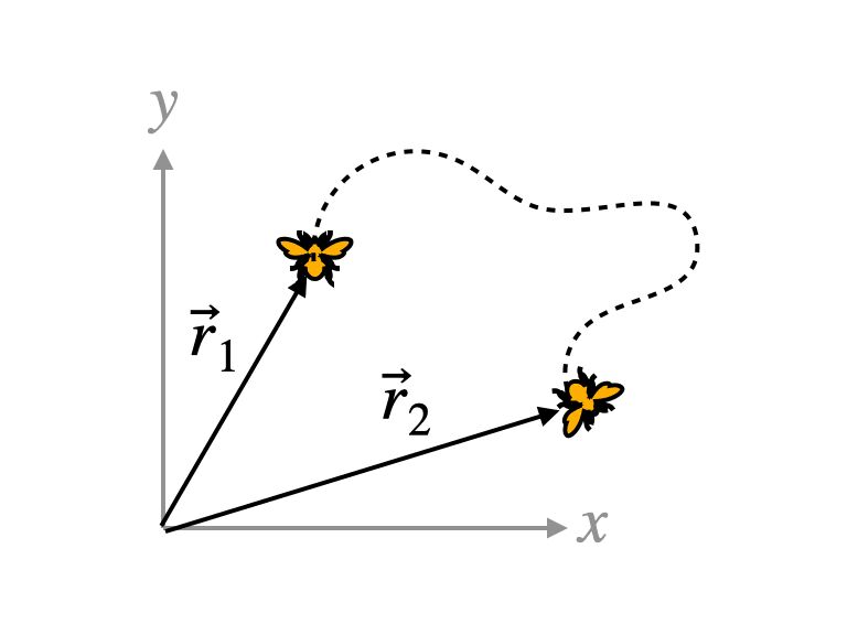 Image may contain Flower and Plant