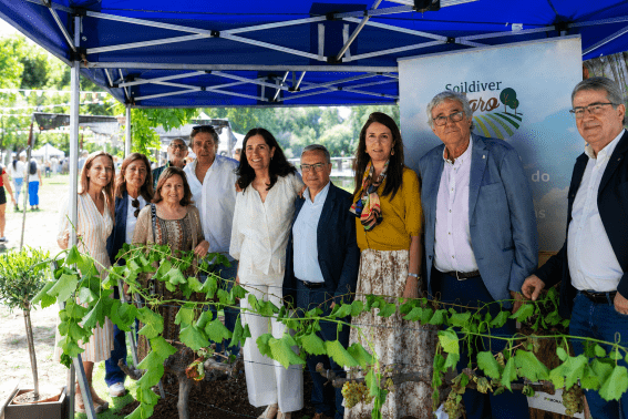 Luis Menor destaca en la XXXV Fiesta de la Vendimia de Leiro: Celebrando la Identidad y el Trabajo Vitivinícola del Ribeiro
